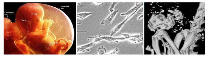 1628761290524428.png 圖片3.png