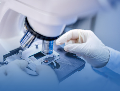 CREATIVITY 創(chuàng)新