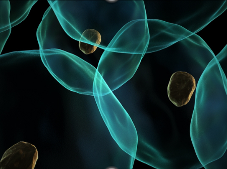 3D動態灌流培養：構建更真實的細胞體外生長環境